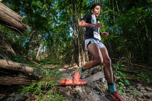 BIB: 
                            <button type="button" onclick="openModal(19387147)" class="btn btn-primary btn-sm float-right btn-popup" data-toggle="modal" data-target=".modal-high-quality">
                        <i class="fas fa-shopping-cart"></i> Add to Cart
                    </button>
                                            <button type="button" onclick="isThisMe(19387147, true)" class="btn btn-success btn-sm float-right btn-popup btn-isme hidden" data-toggle="tooltip" data-placement="bottom" title="นี่คือรูปของคุณใช่ไหม คลิกที่นี่เพื่อเอาเข้าอัลบั้ม">
                        <i class="fas fa-plus"></i> Add to album
                    </button>
                    <button type="button" onclick="isThisMe(19387147, false)" class="btn btn-warning btn-sm float-right btn-popup btn-isnotme hidden">
                        <i class="fas fa-ban"></i> Remove from album
                    </button>